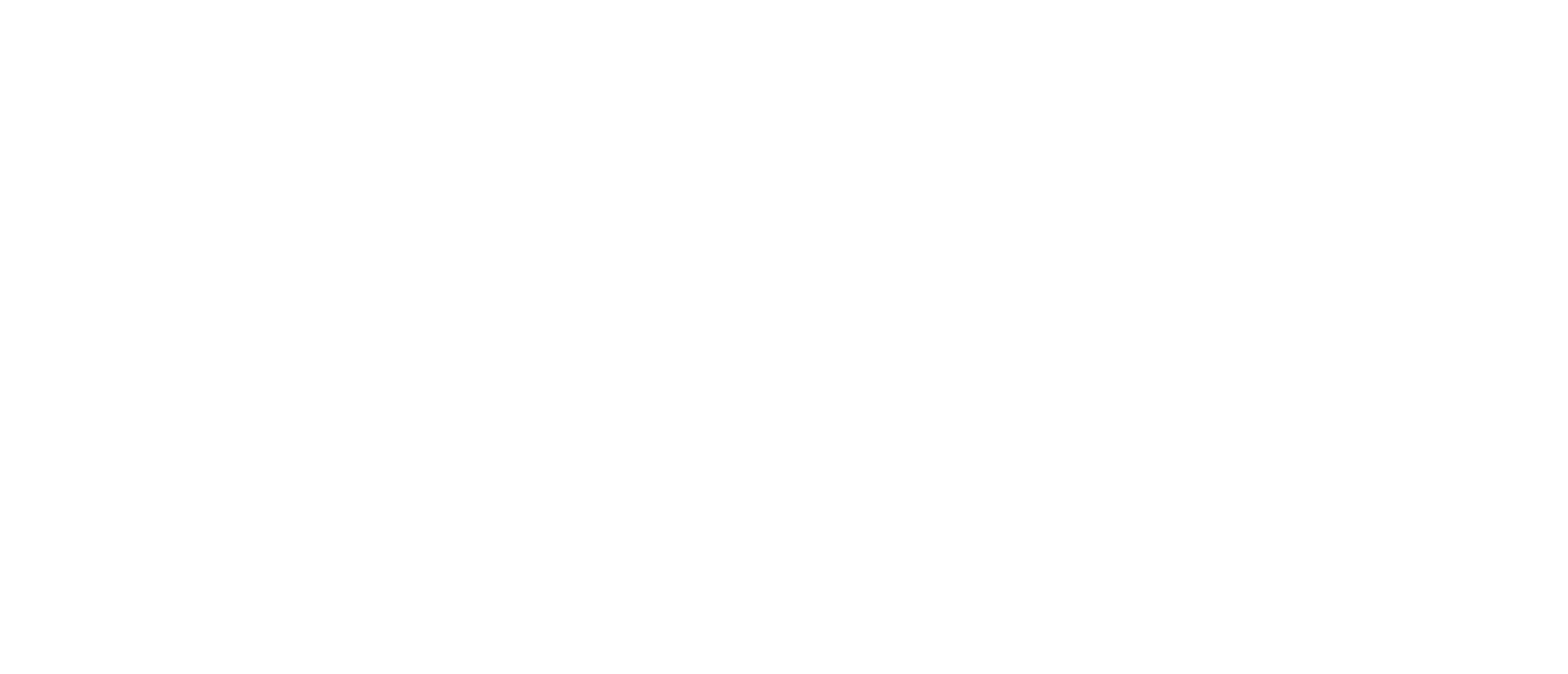 She's Next empowered by Visa